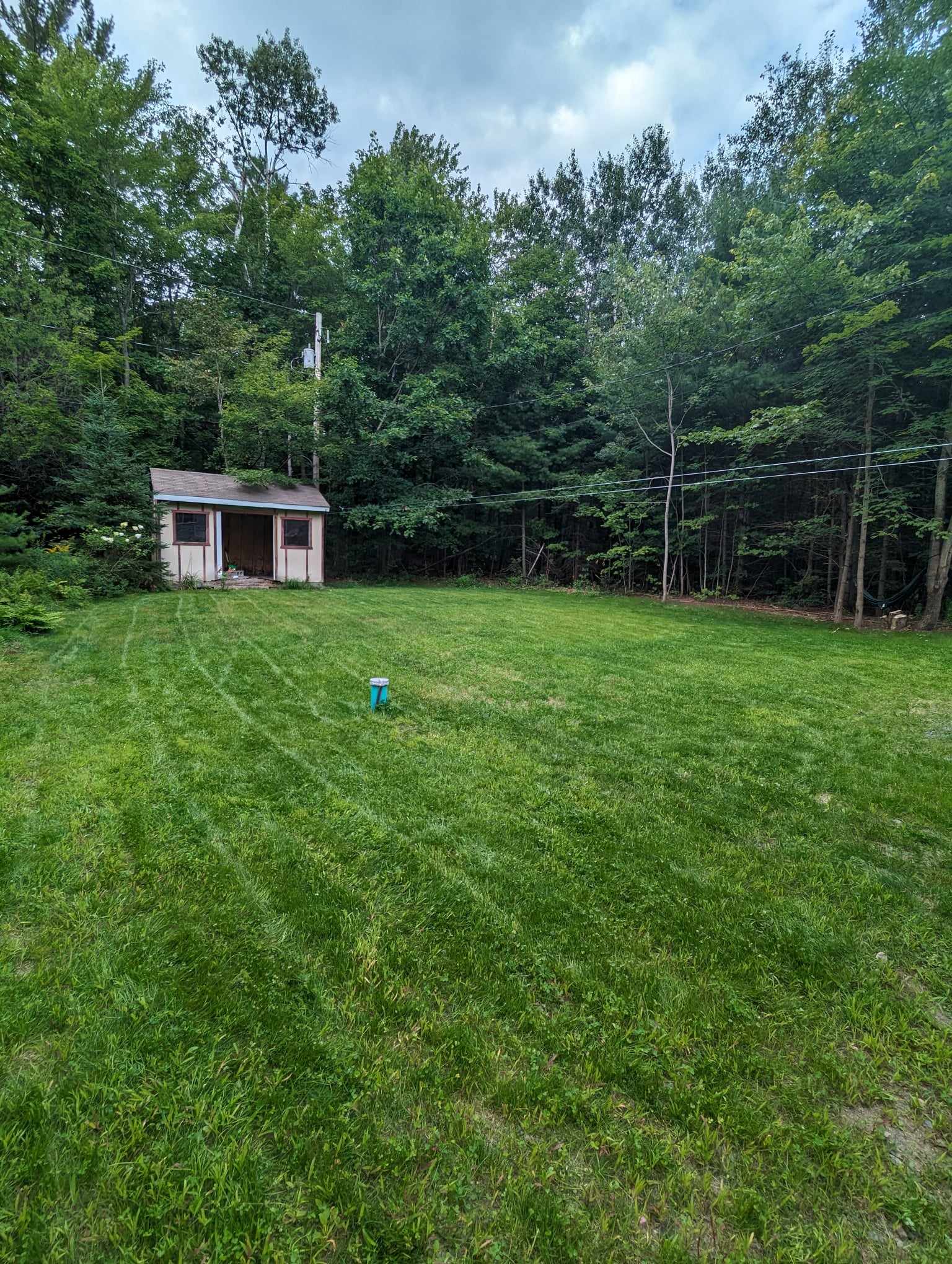 Hydro Semence Éco Gazon - apres