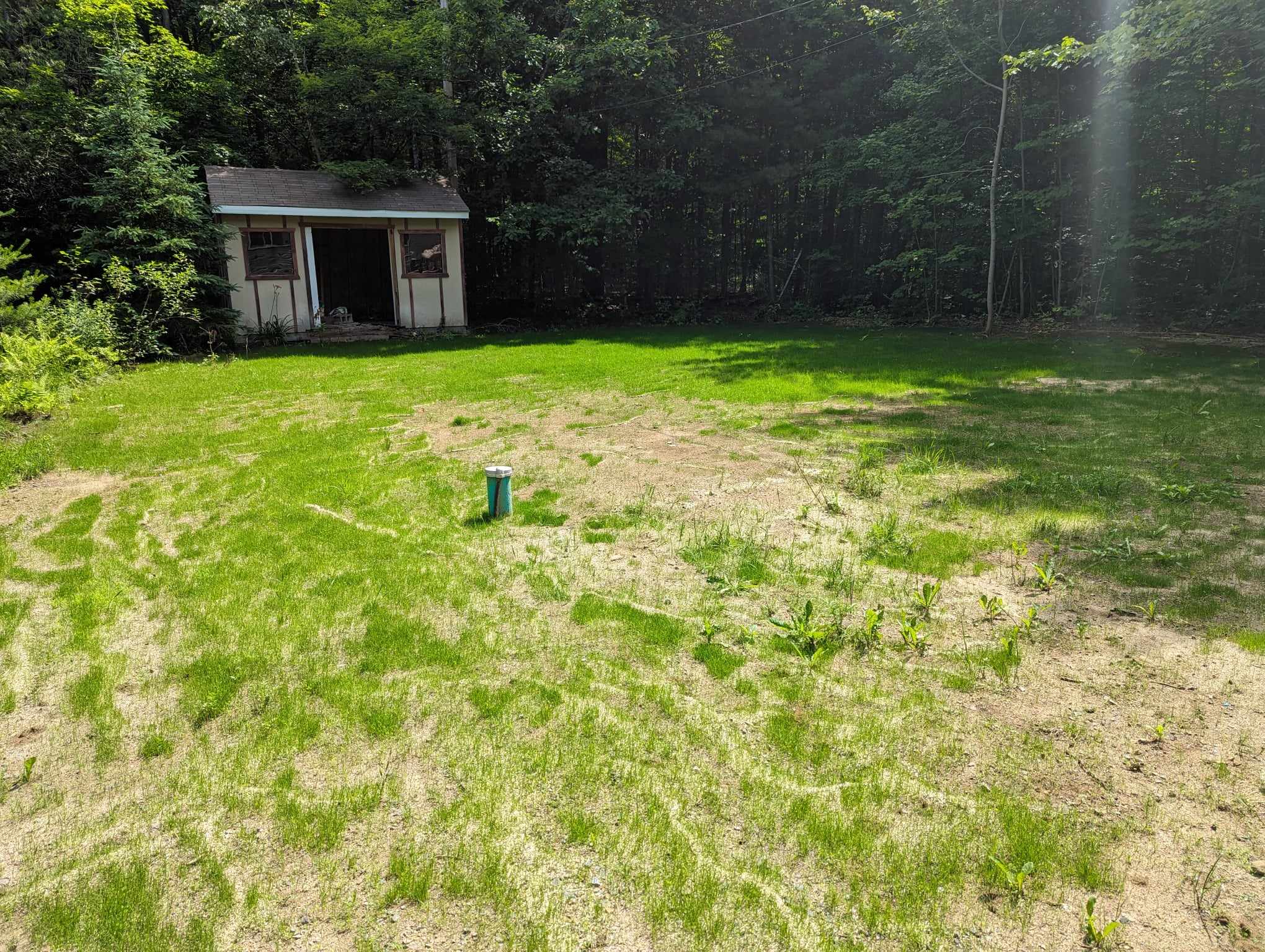 Hydro Semence Éco Gazon - pendant