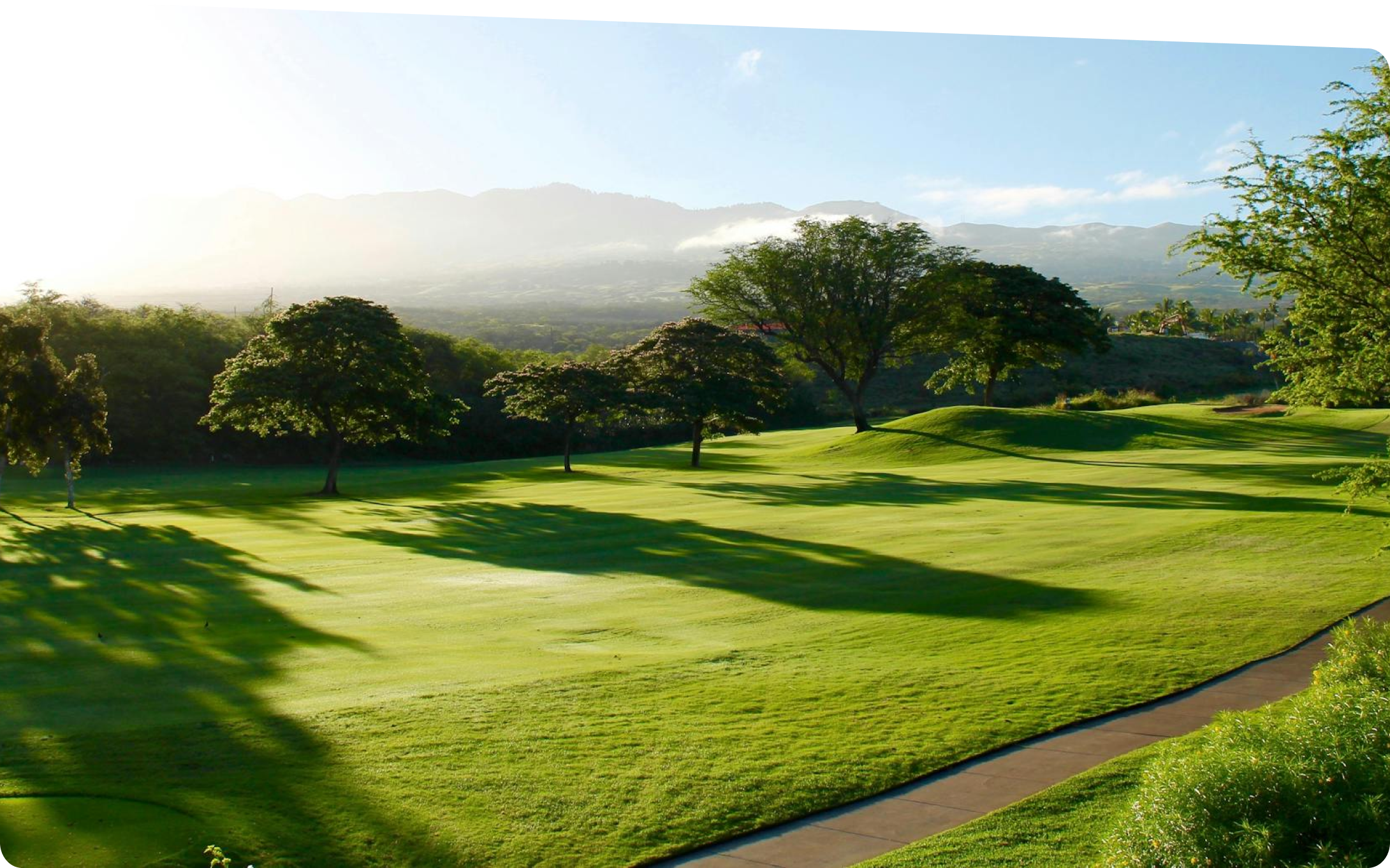 Hydro Semence Éco Gazon - gazon